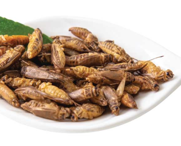 grillos deshidratados y sazonados